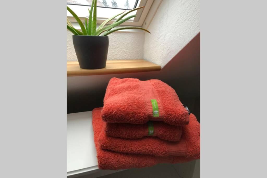 Komfortferienwohnung Harzglueck Auf 2 Etagen Hohegeiss Luaran gambar