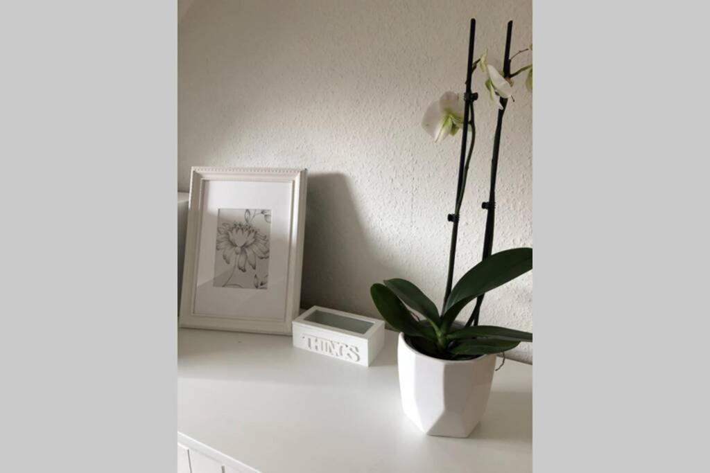 Komfortferienwohnung Harzglueck Auf 2 Etagen Hohegeiss Luaran gambar