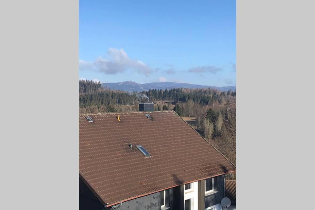 Komfortferienwohnung Harzglueck Auf 2 Etagen Hohegeiss Luaran gambar
